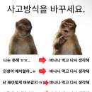 그린코어