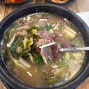 분당-45 | [분당] 유치회관: 45년 전통의 해장국, 선지해장국 맛집 분당직영점 방문 후기