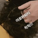 에스엔투
