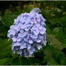 유달산 조각공원 이미지