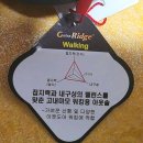 레드페이스부산 | [운동화] 레드페이스 폴카 니트 슬립온, 알파플라이워킹화 리뷰