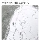 커피스완 - 포천시 | 커피스완