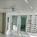 신세대지큐빌 이미지