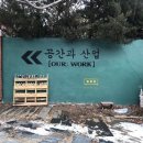 빈톤그룹