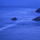 철없는바다 이미지