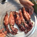 바람솔길펜션 이미지