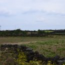 월정체육관 이미지