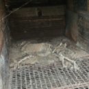 인한농장 이미지