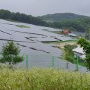 숲 태양광발전소 이미지