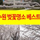 홈플러스옆길 이미지