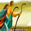 2024-07-10연중 제14주간 수요일＜길 잃은 양들에게 가라.＞ 이미지