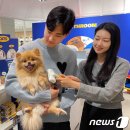 갤러리아백화점 이미지