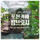 경기도가볼만한곳 야자수 품은 식물원 대형카페 팜브릿지