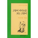 예스비디오 이미지