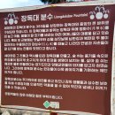 6월27일(토)남양주-물의정원-두물머리 이미지