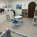 인생댕컷 반려견미용실 이미지