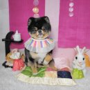 그루밍_light 이미지