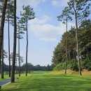 체리코스 | ⛳ [여주] 솔모로CC 체리·퍼시먼 코스 라운드 후기 — 악명은 괜히 생긴 게 아니더라