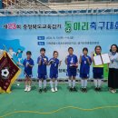 안내초등학교 이미지