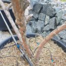 한일농장 이미지