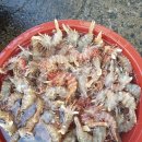 싱싱농수산 이미지