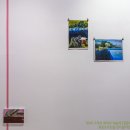 개의온도 이미지