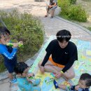 여름방학 1주차 | 꼬미&amp;꼬순이와 복작복작 행복한 한 주 보내기(7/29-8/6)