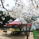 장선골산장 이미지
