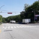 주정차단속-16 이미지