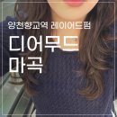 청임미용실 | 레이어드펌 완전 성공한 후기, 양천향교역 미용실 추천 <디어무드>