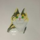 수채화로 그리는 세상 | "물통이 왜 필요해?" 물 조절 스펀지+워터브러쉬 팔레트로 끝내는 초간편 수채화