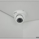 박창언 동물병원 이미지