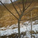 느티나무2농장 이미지