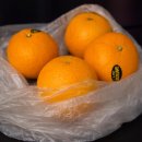 블루9 | [런던&amp;파리] 여행 일기 7편(DAY 9-10) - 베이커리투어 &amp; 블루에펠 후기