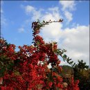 선소체육공원 이미지