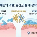 동암가장큰약국 네이버블로그