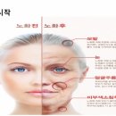 전거리8길 이미지