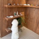 윔스(WIMS) 이미지