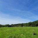 미단편의점 이미지