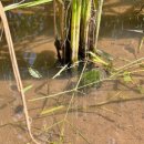 지당농장 이미지