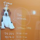 닥터방방 이미지
