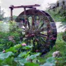 능동공원 이미지