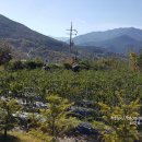 노고지리산방