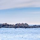 주상절리횟집 이미지