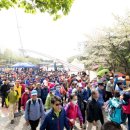 꽃내음가득 이미지