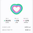 일루미랩 | 251128~251202 4박5일 삿포로 여행 일기