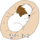 여수느낌