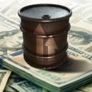 용마교통 이미지