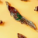 멍멍제과점 이미지