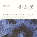 신착도서(김순경 강철수) 이미지